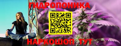 крисы Коммунар