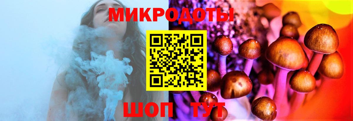 Галлюциногенные грибы Psilocybe Коломна